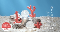 ⽔原希⼦×irohaコラボレーションアイテム第２弾！珊瑚モチーフの「iroha petit CORAL」発売