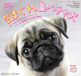 気まぐれ鼻ペチャ犬カレンダー1 気まぐれ鼻ペチャ犬カレンダー1