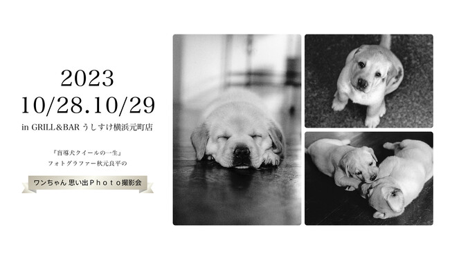 「盲導犬クイールの一生」撮影フォトグラファー『ワンちゃん思い出Photo撮影会』イベント開催のお知らせ
