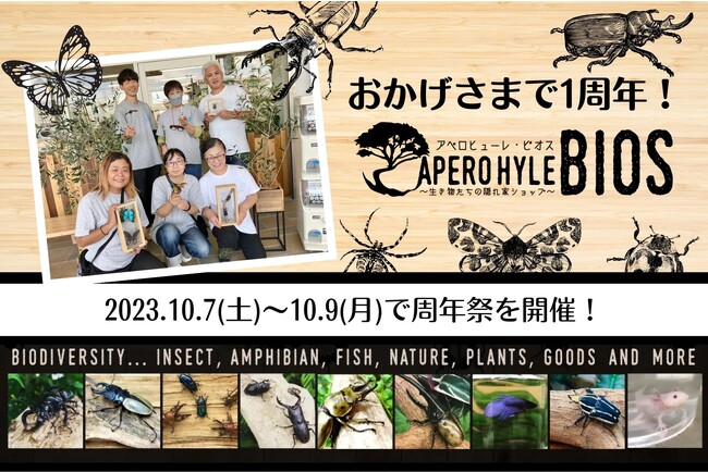 就労継続支援B型×昆虫＆生き物専門店【APERO HYLE BIOS（アペロヒューレ・ビオス）】がオープン1周年！記念イベントとして昆虫ガラポンくじを開催！