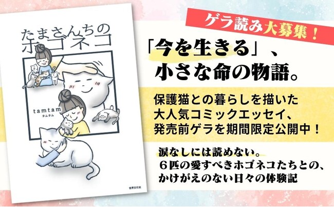 【Amazonランキング1位】著者印税の全額を動物福祉に充てるコミックエッセイ『たまさんちのホゴネコ』発売前ゲラを期間限定公開！