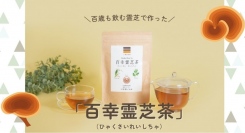 霊芝茶「百歳霊芝茶」モニター募集