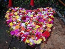 【埼玉県】秩父地域のボランティアツーリズム「観光×ボランティア!ボラっとちちぶ」