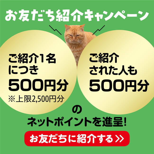 ネットポイント500円分をもれなくプレゼント！通販生活公式の公式LINEアカウントでお友だち紹介キャンペーン実施中！