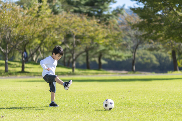 ＼横浜でサッカーをしながら、楽しく生物多様性を学ぼう／「生きもののつながり×サッカーin洋光台」を開催します！