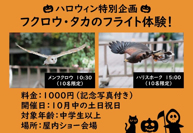富士花鳥園（富士宮市）：フクロウ・タカのフライト体験のご案内