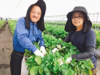 長野県安曇野市の地元農家の野菜や果物をお届けするイベント「わっこマルシェ」を10月15日に開催！