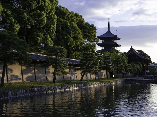 【都ホテル 京都八条】インバウンド向け朝さんぽ「TO-JI Temple Morning Walk」スタート