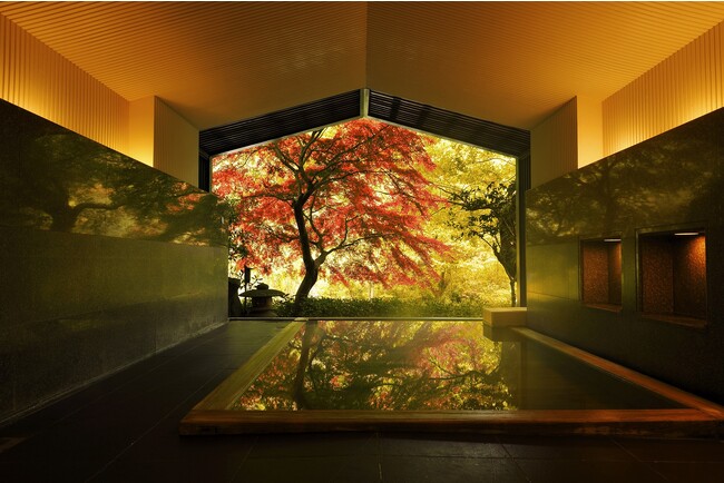 【界】今年の秋こそ、温泉旅館で紅葉を愛でる紅葉温泉予報を発表!