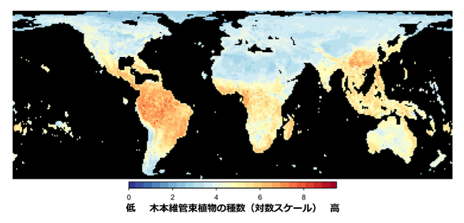 世界の森の豊かさを　生物多様性ビッグデータで見える化！暗号理論とAIによる　TNFD対応支援データの開発