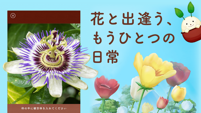 花植物で新しい体験ができるアプリ『花の手帖 - プランティー』App Store、Google Playにて配信開始