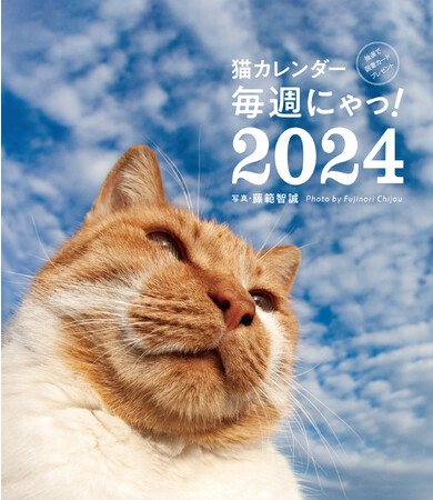 ジャンプ、かけっこ、猫パンチ！猫たちの日常にひそむ、とびきり面白い非日常をとらえた写真が満載。週めくりカレンダー『猫カレンダー 毎週にゃっ！2024』が発売