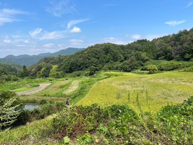 港町神戸の里山が「自然共生サイト」に国内第1弾認定！世界目標を実現する生物多様性の回復エリアへ