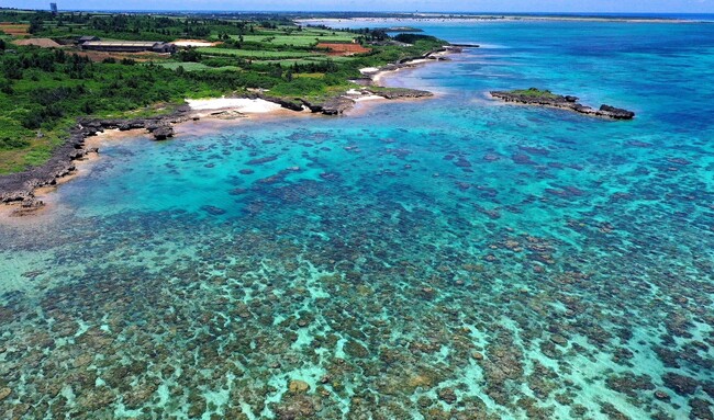 OKINAWA office 開設のお知らせ