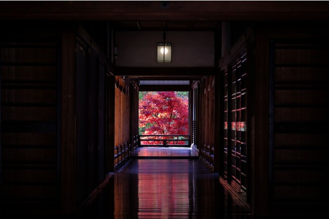 紅葉の名所・非公開エリアを貸切。「リトリート」と「オーバーツーリズム」のジレンマを解決　人気観光地で‟少人数・閑静”の非日常空間を実現した紅葉の季節を楽しむ特別体験プランを提供開始