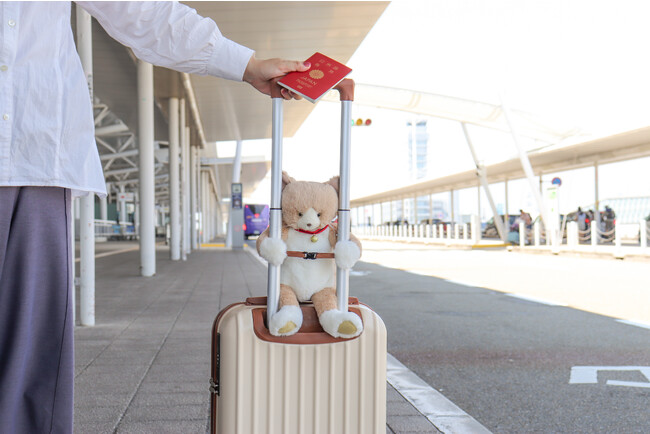 旅をもっと楽しく。テディベアメーカーが開発した新しい旅行のバッグ「キャリーオンキャット」に新色が登場。まるで猫と一緒に旅をしているかのような感覚が味わえる。かわいさが倍増する子猫マスコットも同時発売