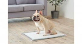 犬用デザイナーズトイレ「クリアレット」シリーズの新製品が10月12日に予約発売開始!段差がなく、シニア犬も利用しやすい形状 犬用デザイナーズトイレ「クリアレット」シリーズの新製品が10月12日に予約発売開始!段差がなく、シニア犬も利用しやすい形状