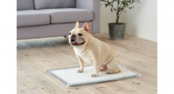 犬用デザイナーズトイレ「クリアレット」シリーズの新製品が10月12日に予約発売開始！段差がなく、シニア犬も利用しやすい形状