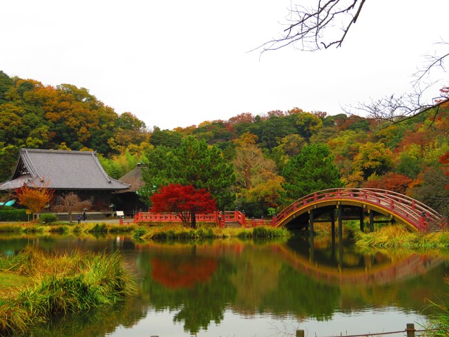 【12月31日まで】横浜の国指定史跡「称名寺境内」の環境整備のため　「クラウドファンディング型ふるさと納税」を始めました！