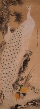 「京・大坂 日本絵画の精華」を開催 花鳥画の名品から俳画の珍品まで　市の所蔵日本画約50点を展示