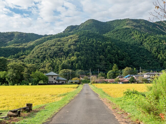 埼玉県小川町で関係人口の創出と拡大を目指す！全５回の探究・ゲーム型体験プログラムを開催