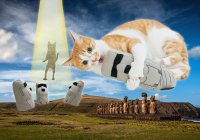 猫×月刊ムー？！奇妙でカワイイ猫用ミステリーグッズ、UMAじゃらしなどコラボ商品が発売決定！～月刊「ムー」×PEPPYコラボ企画、10月12日（木）3アイテムを発売！～