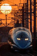 西日本旅客鉄道株式会社社長賞「夕陽を浴びて」 那須 晴日(福岡県) 西日本旅客鉄道株式会社社長賞「夕陽を浴びて」 那須 晴日(福岡県)