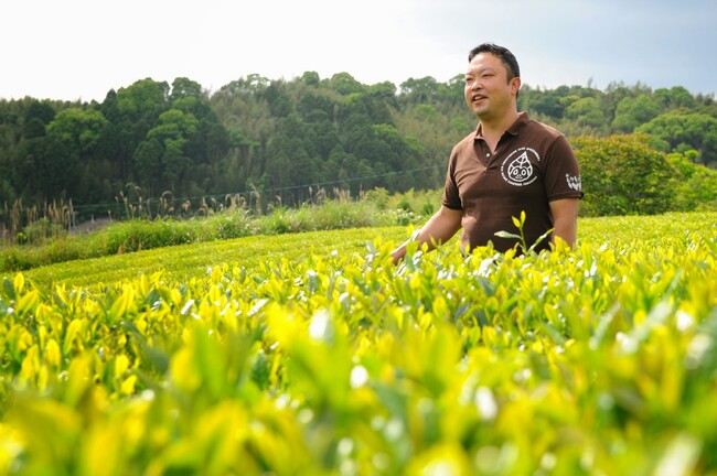 【日本橋からお茶文化の魅力を発信】「日本のお茶づくし2023・秋」が2023年11月3日（金・祝）、4日（土）に東京・日本橋の「YUITO」で開催