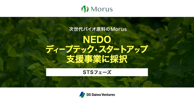 カイコバイオ原料の研究開発を行うMorus株式会社、NEDOのディープテック・スタートアップ支援事業(DTSU)に採択