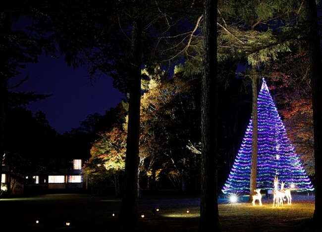 【ホテル鹿島ノ森】12月限定「クリスマスディナーコース付宿泊プラン」のご予約を10月16日（月）より開始