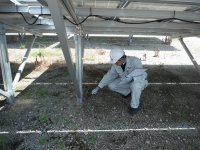 太陽光発電所のセカンダリービジネスに関する問い合わせが2倍　FITから11年、発電所のリパワリングや評価制度への関心高まる