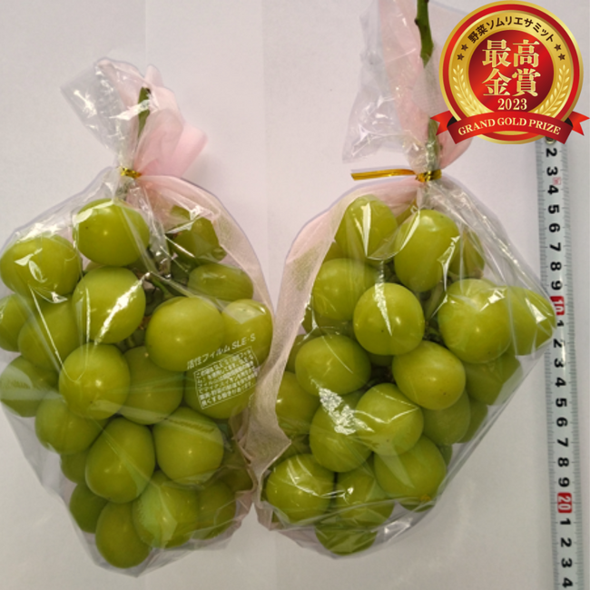 青果物の品評会「野菜ソムリエサミット」2023年10月度結果発表！