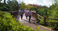 兵庫県神戸市の「しあわせの村」で、市内在住の高齢者を対象とするウォークラリーを10月21日に開催。豊かな自然を楽しみながら、健康づくりのきっかけに