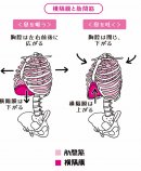 「長生き呼吸」 で「横隔膜」と「肋間筋」をコントロール 「長生き呼吸」 で「横隔膜」と「肋間筋」をコントロール