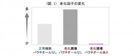 (図. 1) 老化因子の変化