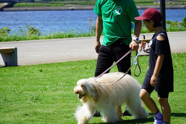 ニチイで活躍中のセラピー犬「オーストラリアン・ラブラドゥードル」が子ども向けイベント「コドモジブンケンキュウフェスタ」に参加