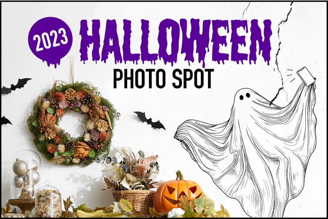 【LOWYA】ハロウィン限定フォトスポットが九大伊都 蔦屋書店に登場