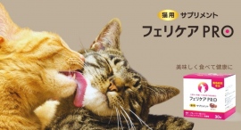 猫が好んで食べるサプリメント「フェリケアPRO」新発売 獣医師モニター募集キャンペーン 猫が好んで食べるサプリメント「フェリケアPRO」新発売 獣医師モニター募集キャンペーン