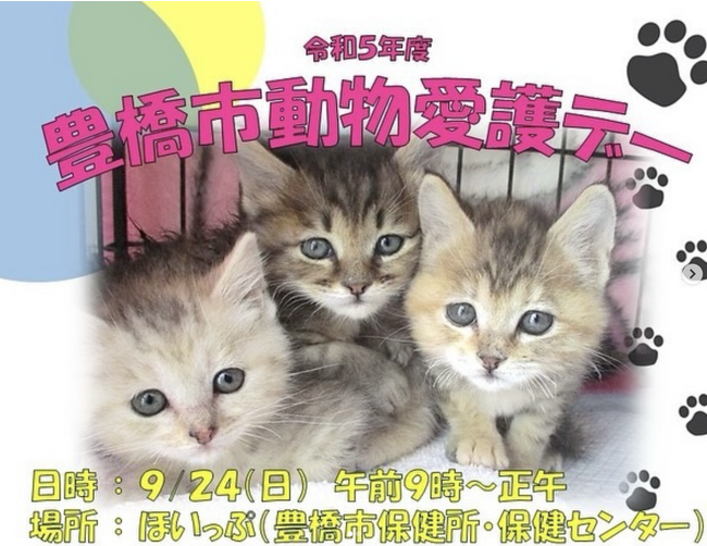 動物愛護センター（仮称）開所に向け、愛知県豊橋市が保護犬・猫の暮らしぶりを伝えるインスタ開設
