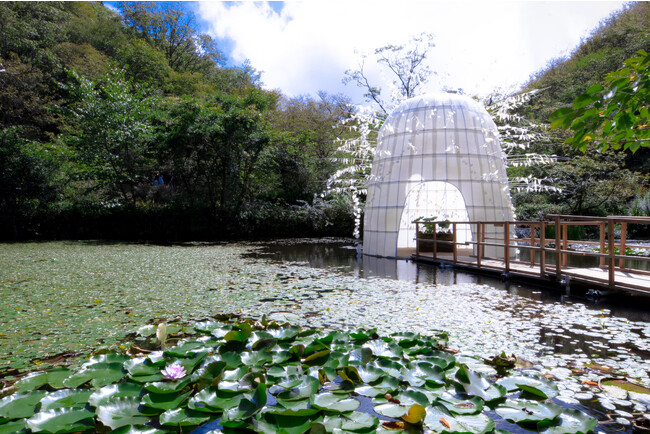 京都芸術大学卒業生のコニシユウゴさんが「六甲ミーツ・アート芸術散歩 2023 beyond 公募大賞」準グランプリを受賞しました！