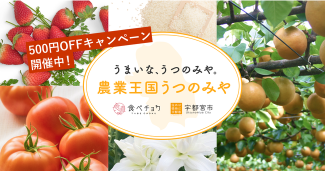 食べチョク、栃木県宇都宮市と連携を開始。写真撮影や商品梱包のサポートなど伴走型で生産者の販路拡大を継続支援。
