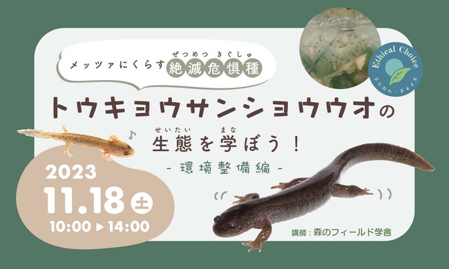 絶滅危惧種の生態を学ぶフィールドワークを初開催