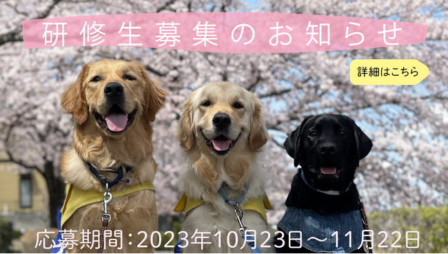【5年ぶりに新たな形でスタート】介助犬総合訓練センターで学びながら一緒に働く仲間を募集