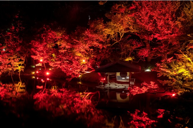 〈11/10(金)～開催〉八芳園の庭園が赤に染まるライトアップイベント　秋、開花。『TOKYO RED GARDEN AUTUMN FESTIVAL 2023』