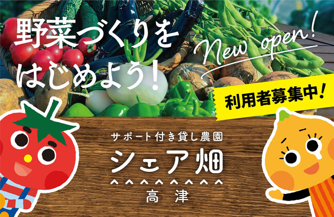 川崎市内11か所目のシェア畑として、川崎市高津区坂戸に『シェア畑 高津』がNEW OPEN！開放感のある農園で野菜づくりを楽しめます！
