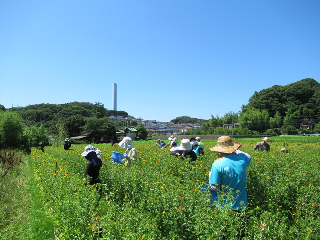 【東京都町田市】下小山田・図師町エリアが「農の風景育成地区」に指定されました