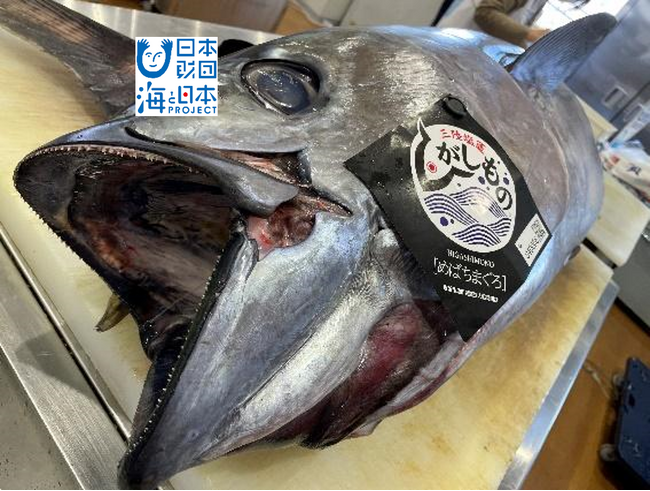 ブランドマグロ「ひがしもの」をさばく！「日本さばける塾inみやぎ」を開催します！
