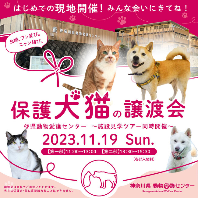保護犬猫の譲渡会＠県動物愛護センターを開催します～施設見学ツアー同時開催～