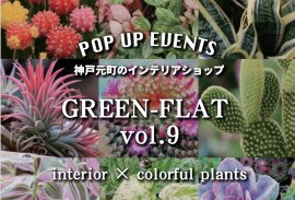 『GREEN-FLAT vol.9~interior×colorful plants』 『GREEN-FLAT vol.9~interior×colorful plants』