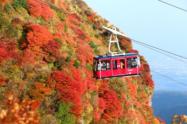 [長崎県雲仙市]事前予約制の紅葉狩り！？